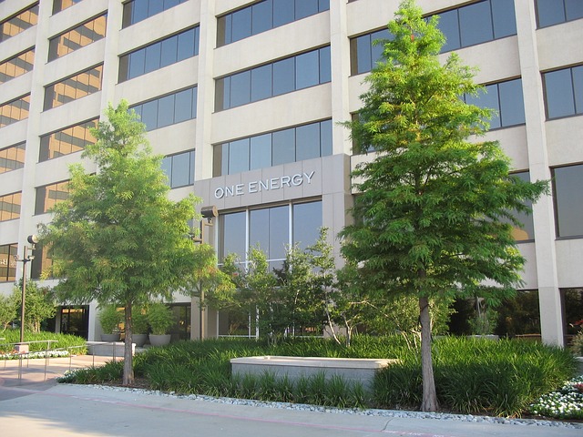 Office Exterior Greenery