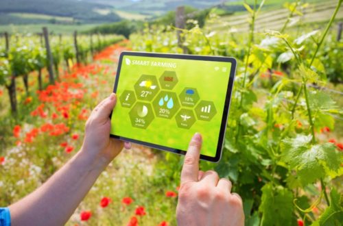 Smart Technology Solutions To Enhance Your Farm