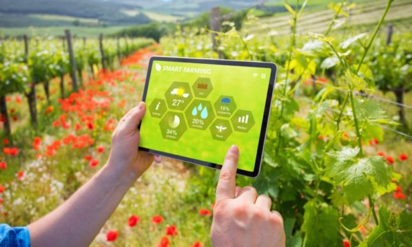 Smart Technology Solutions To Enhance Your Farm