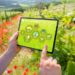 Smart Technology Solutions To Enhance Your Farm